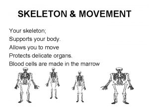 SKELETON MOVEMENT Your skeleton Supports your body Allows