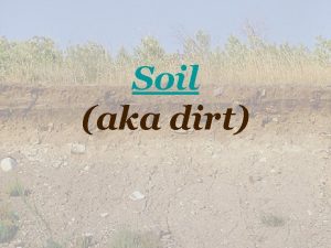 Soil aka dirt Soil The top layer of