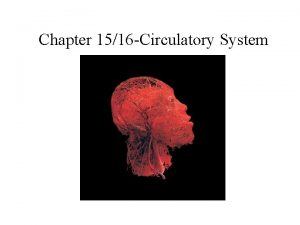 Chapter 1516 Circulatory System Tainted Love The Blood