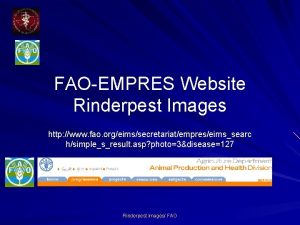 FAOEMPRES Website Rinderpest Images http www fao orgeimssecretariatempreseimssearc