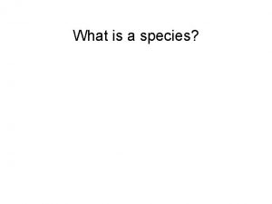 What is a species Biological Species Concept groups
