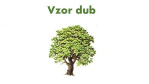 Vzor dub Ktor neivotn podstatn men muskho rodu