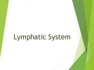 Lymphatic System Aim To understand the Lymphatic System