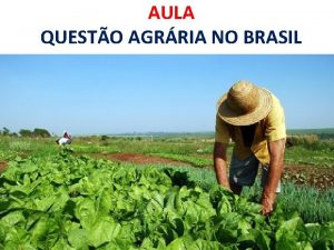 AULA QUESTO AGRRIA NO BRASIL Consideraes 18 3