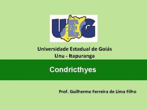 Universidade Estadual de Gois Unu Itapuranga Condricthyes Prof