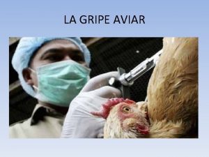 LA GRIPE AVIAR QU ES La gripe de