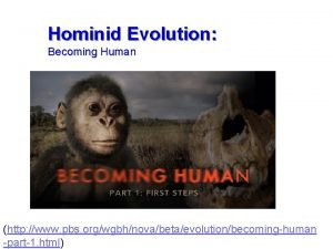 Hominid Evolution Becoming Human http www pbs orgwgbhnovabetaevolutionbecominghuman