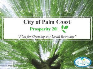 City of Palm Coast Prosperity 2021 Plan for