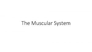 The Muscular System Three types of Muscle Cardiac