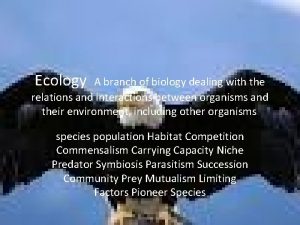 Ecology A branch of biology dealing with the