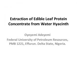 Extraction of Edible Leaf Protein Concentrate from Water