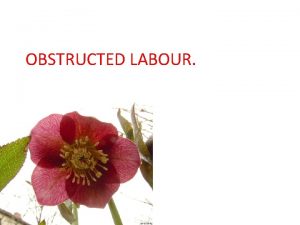 OBSTRUCTED LABOUR ETIOLOGY v FAULT IN THE PASSAGE
