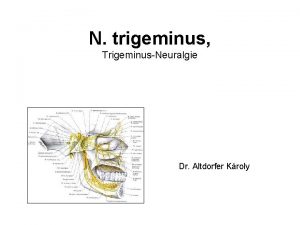 N trigeminus TrigeminusNeuralgie Dr Altdorfer Kroly Gesichtshaut Innervation