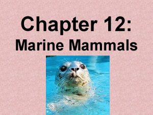 Chapter 12 Marine Mammals Introduction Insulating body covering