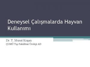 Deneysel almalarda Hayvan Kullanm Dr T Murat Koan