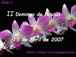 Ii domingo de pascua ciclo c