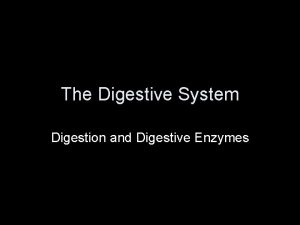 The Digestive System Digestion and Digestive Enzymes Nutrition