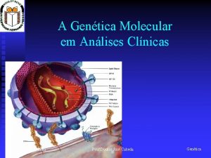 A Gentica Molecular em Anlises Clnicas 20012002 Prof