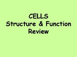 CELLS Structure Function Review Which kind of cell