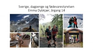 Sverige dagpenge og fdevarestyrelsen Emma Dybkjr rgang 14