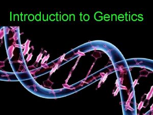 Introduction to Genetics Genetics the scientific study of