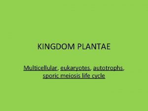 KINGDOM PLANTAE Multicellular eukaryotes autotrophs sporic meiosis life