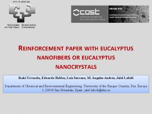 REINFORCEMENT PAPER WITH EUCALYPTUS NANOFIBERS OR EUCALYPTUS NANOCRYSTALS