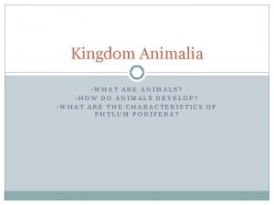 Kingdom Animalia WHAT ARE ANIMALS HOW DO ANIMALS