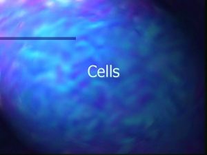 Cells Cells Three Subdivisions 1 Animal Subdivisions Continued