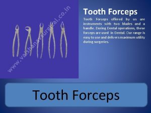 Tooth Forceps offered by us are instruments with