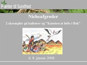 Nicheafgrder 2 eksempler p kulturer og Kunsten at