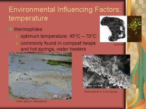 Environmental Influencing Factors temperature thermophiles optimum temperature 450