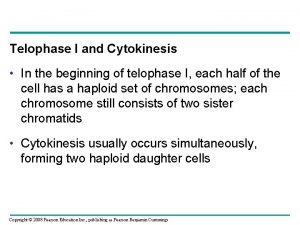 Telophase I and Cytokinesis In the beginning of