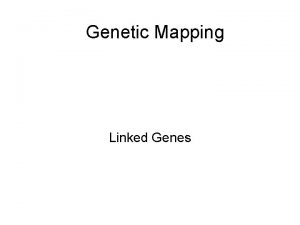 Genetic Mapping Linked Genes The chromosome Several genes