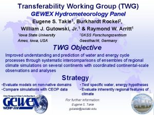 Transferability Working Group TWG GEWEX Hydrometeorology Panel Eugene