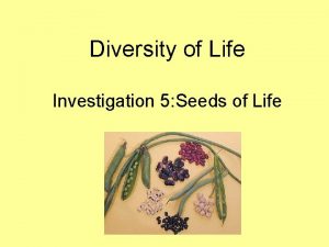 Diversity of Life Investigation 5 Seeds of Life