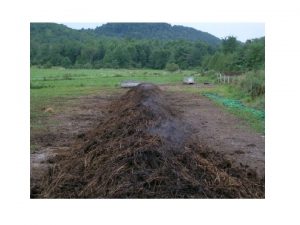 Why Compost An Analysis of Composting As an