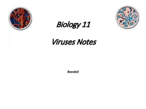 Biology 11 Viruses Notes Bandali Viruses are named