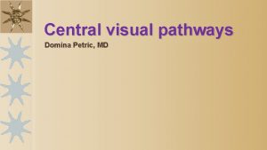 Central visual pathways Domina Petric MD Introduction The