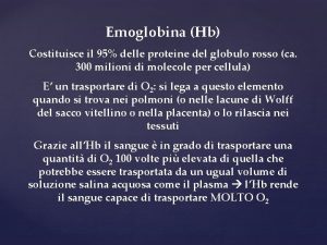 Emoglobina Hb Costituisce il 95 delle proteine del