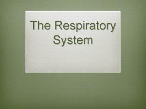 The Respiratory System Anatomy v The nostrils Nostrils