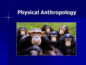 Physical Anthropology Important Findings in Physical Anthropology n