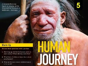 A Neanderthal wax figure on display at the