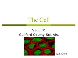 The Cell V 205 01 Guilford County Sci