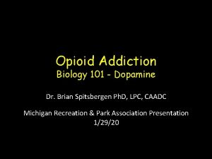 Opioid Addiction Biology 101 Dopamine Dr Brian Spitsbergen