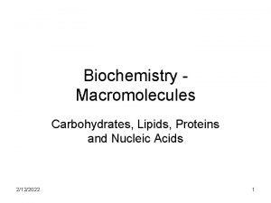 Biochemistry Macromolecules Carbohydrates Lipids Proteins and Nucleic Acids