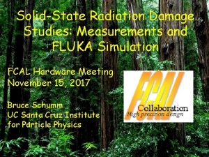 SolidState Radiation Damage Studies Measurements and FLUKA Simulation