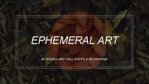 EPHEMERAL ART AP STUDIO ART FALL PHOTO 2