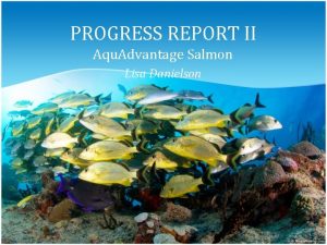 PROGRESS REPORT II Aqu Advantage Salmon Lisa Danielson