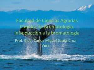 Facultad de Ciencias Agrarias Catedra de Bromatologia Introduccion